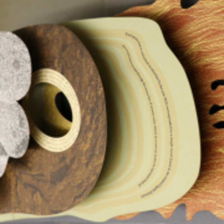 UCR Library Collections Library